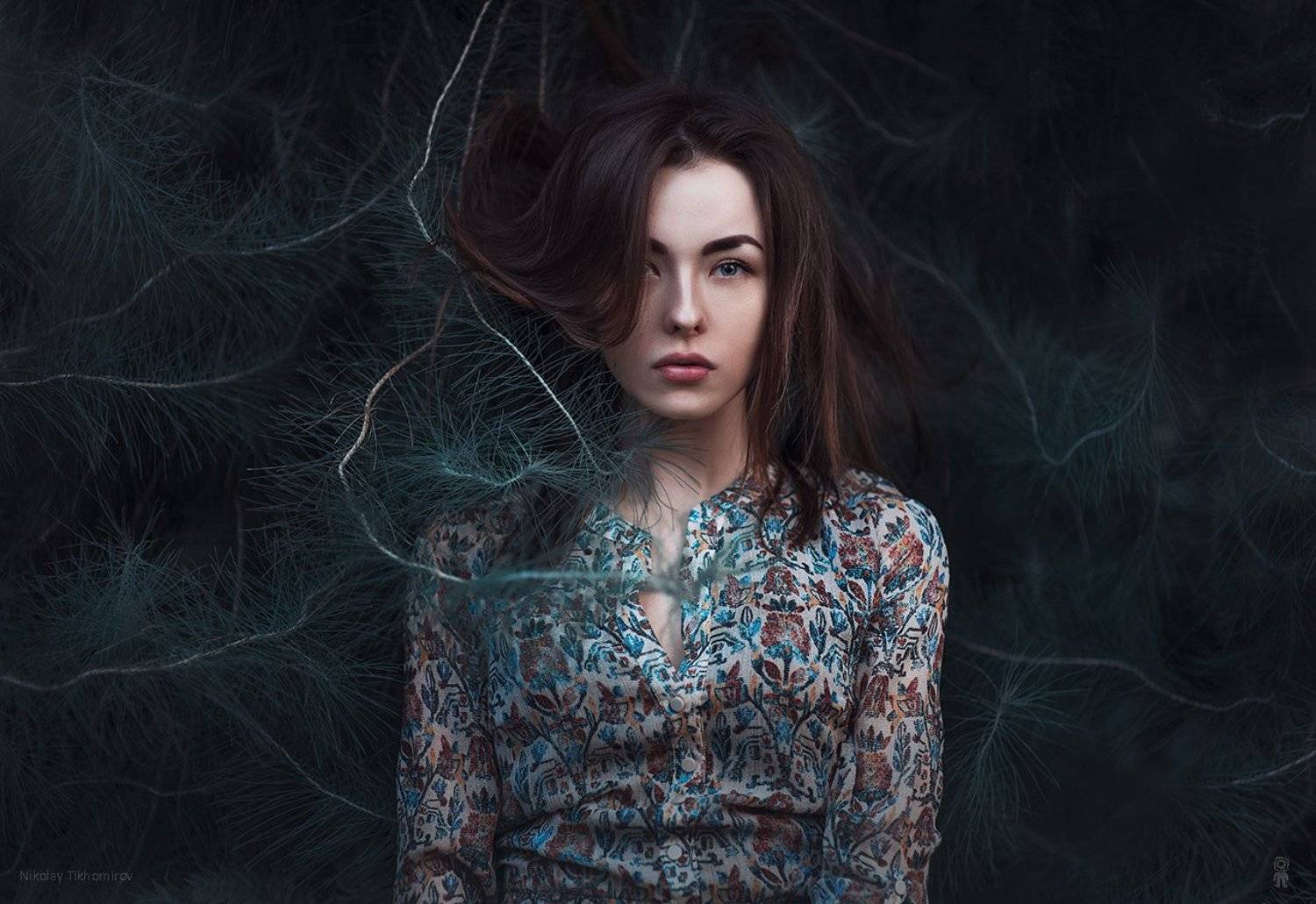 , Тихомиров Николай