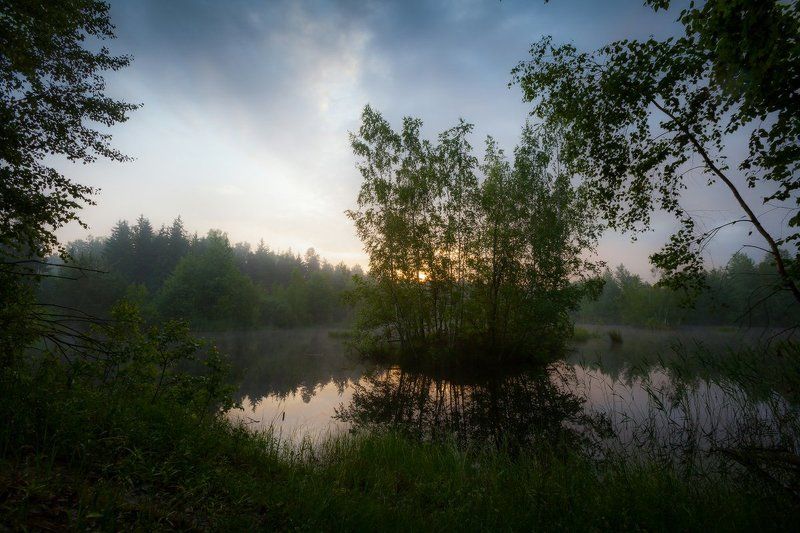 остров, утро, лето, озеро, тишина, природа, благодать Необитаемый остров фото превью