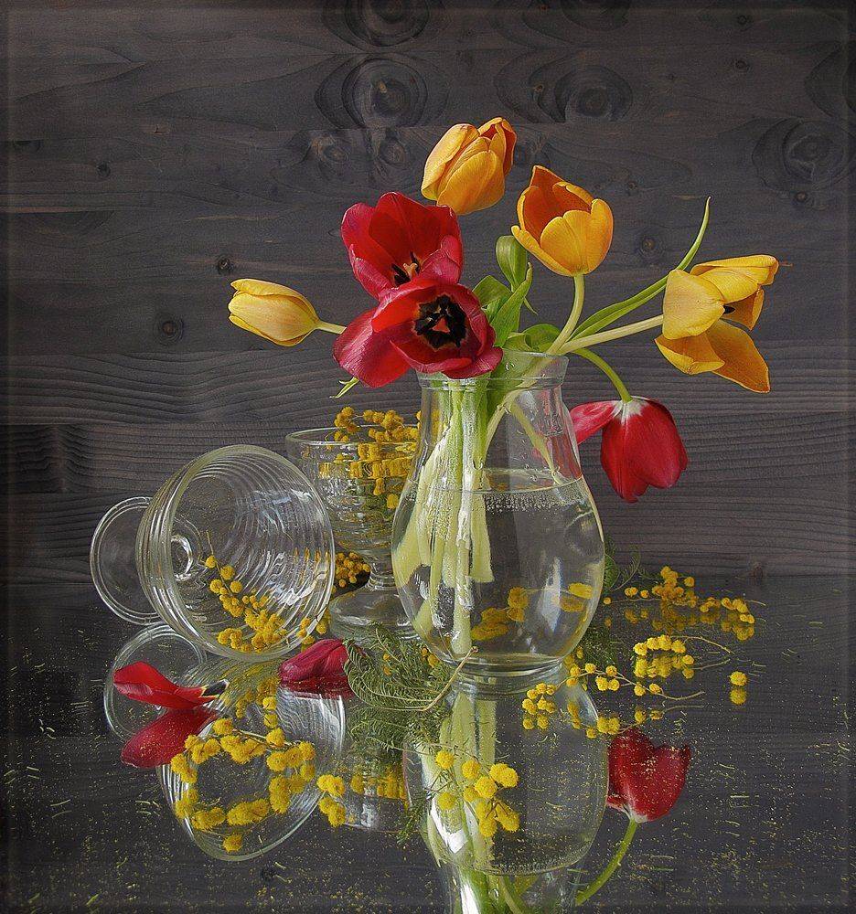 , ТАТЬЯНА ЗАХАРОВА