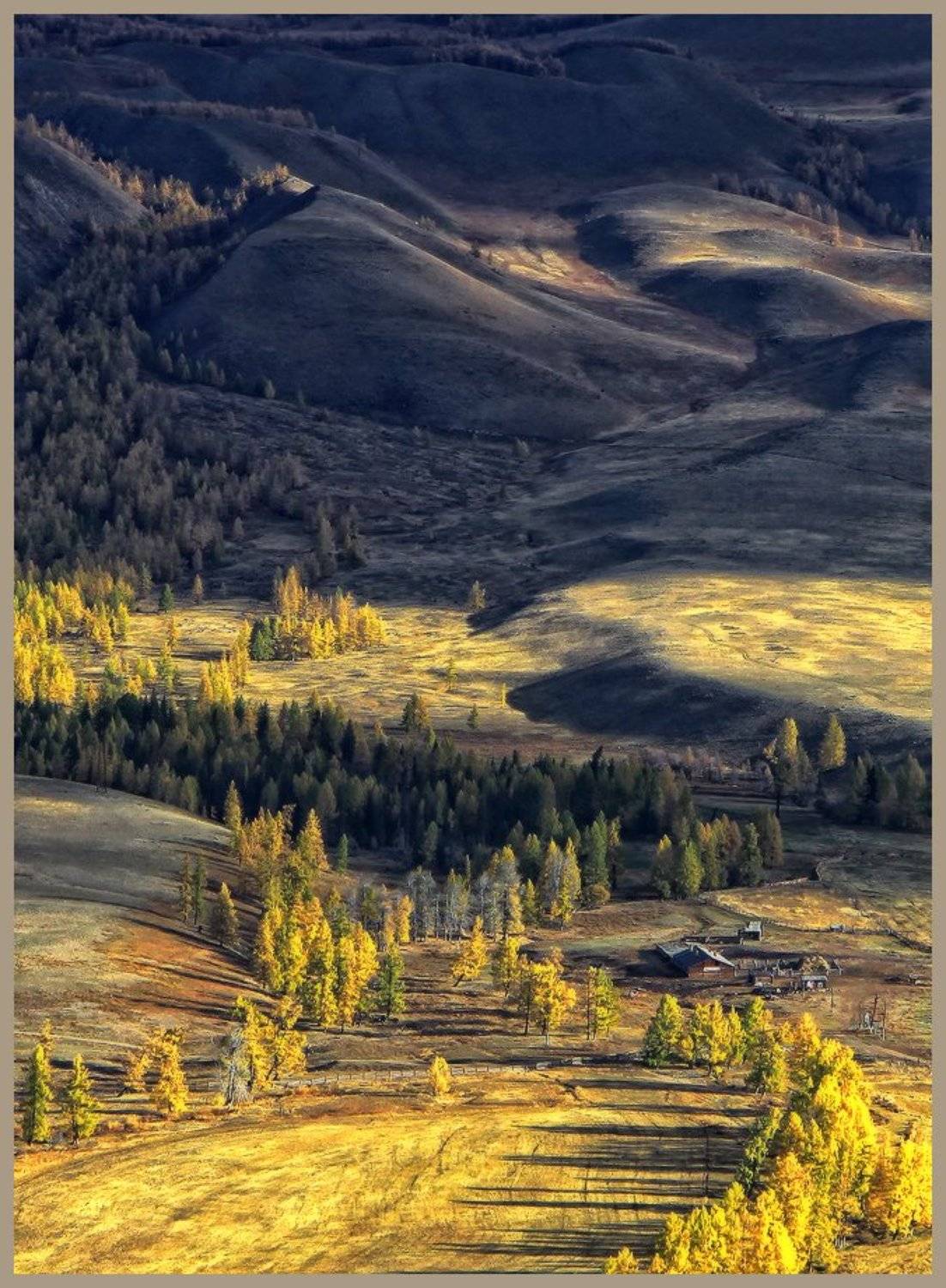 сибирь, алтай, горный алтай, курай, Галина Хвостенко