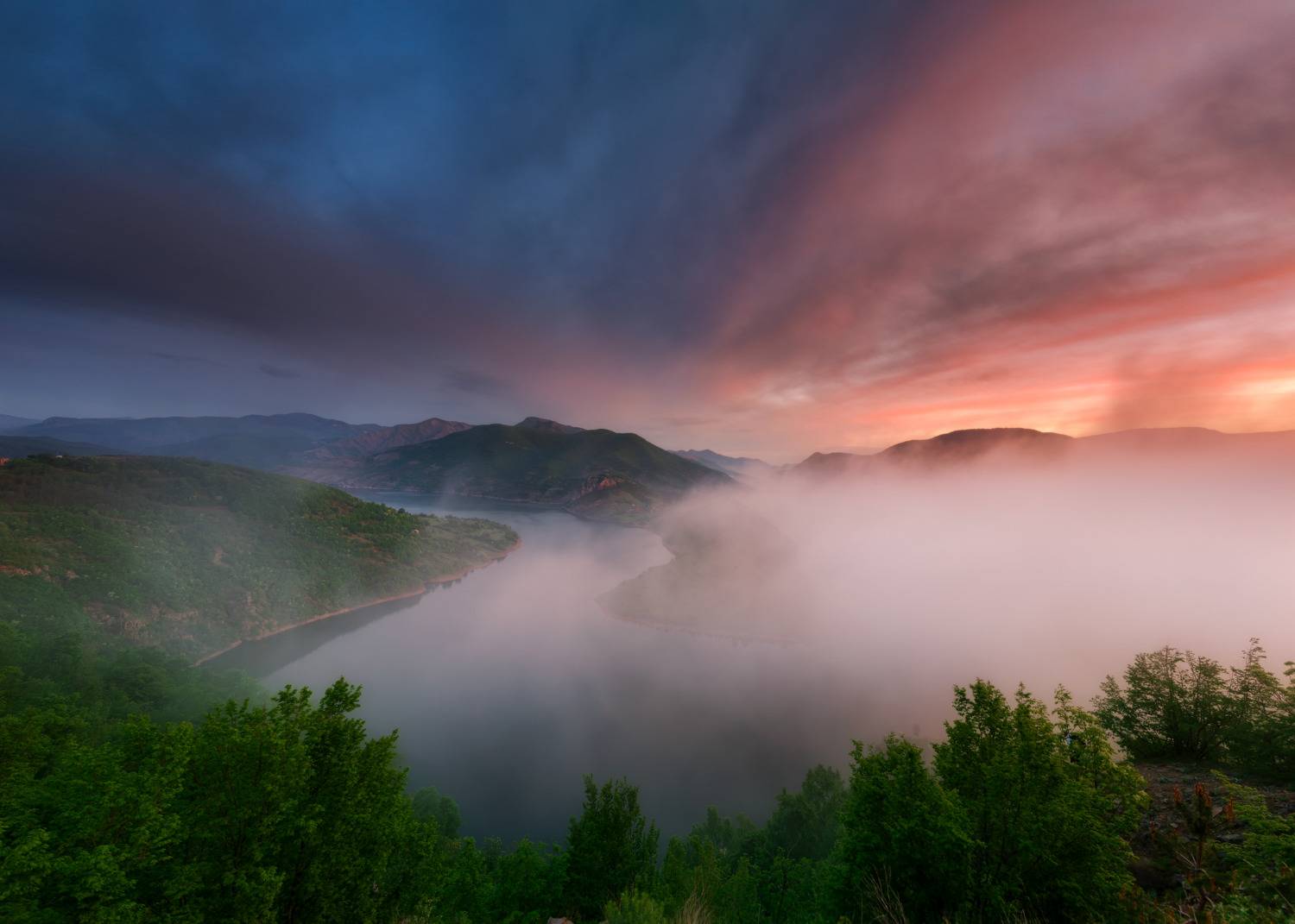 , Иван Димов