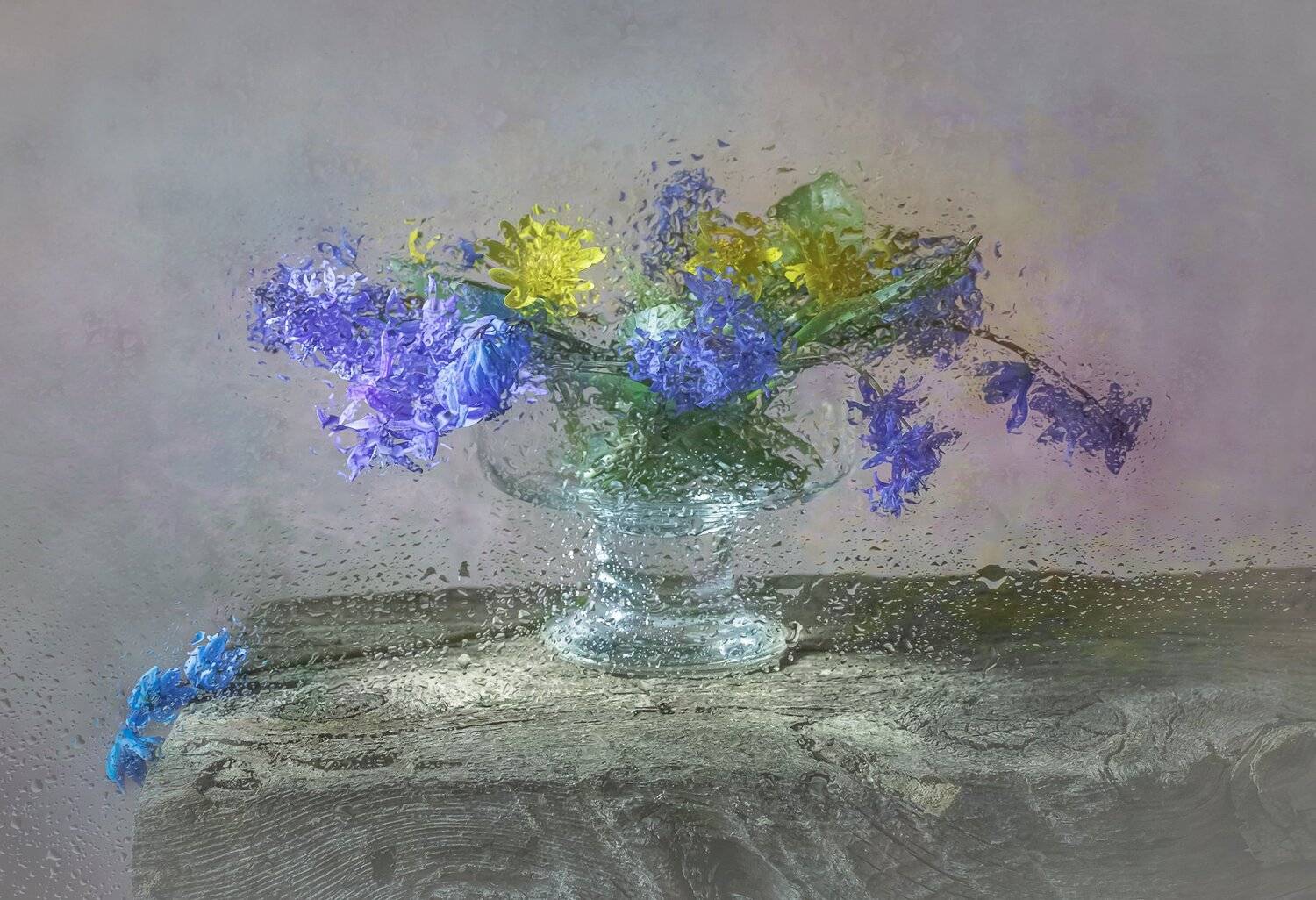 , Инна Сухова