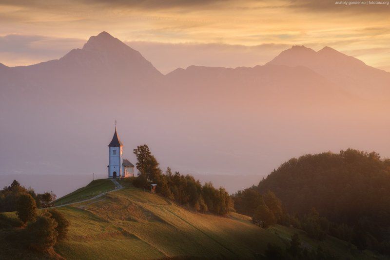 Ямник фото превью