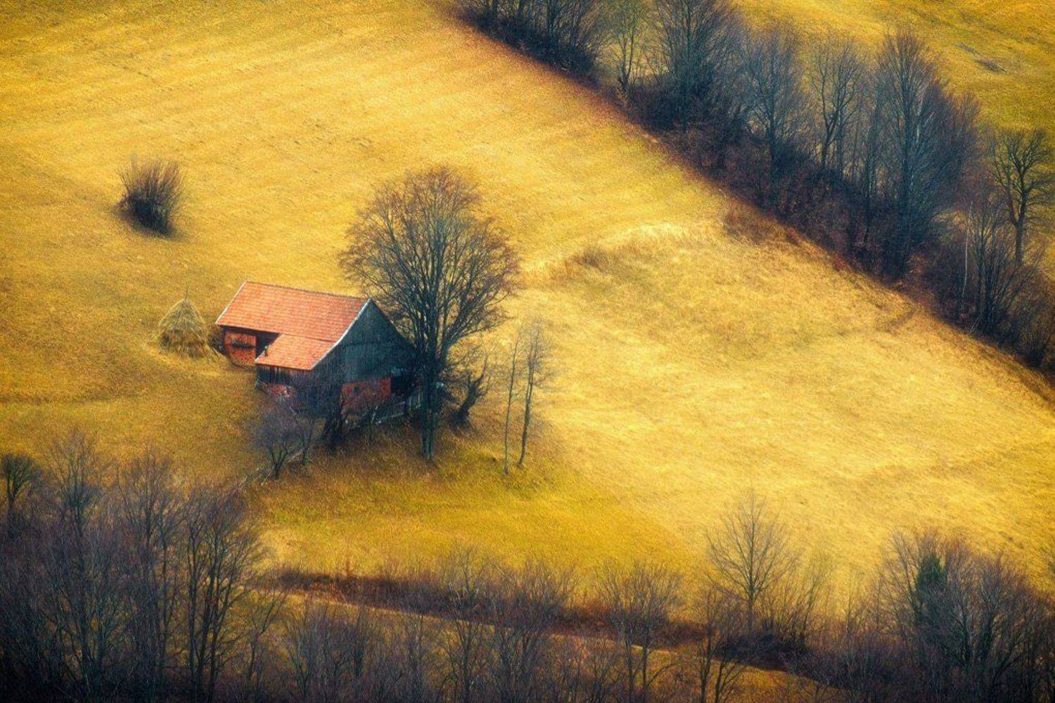 , Stefan Chirobocea