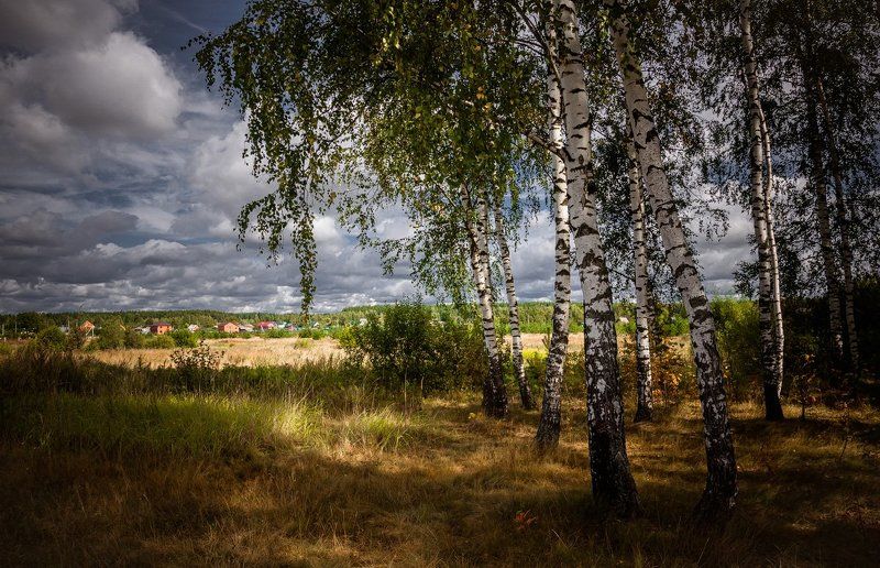 Подмосковный пейзаж фото превью