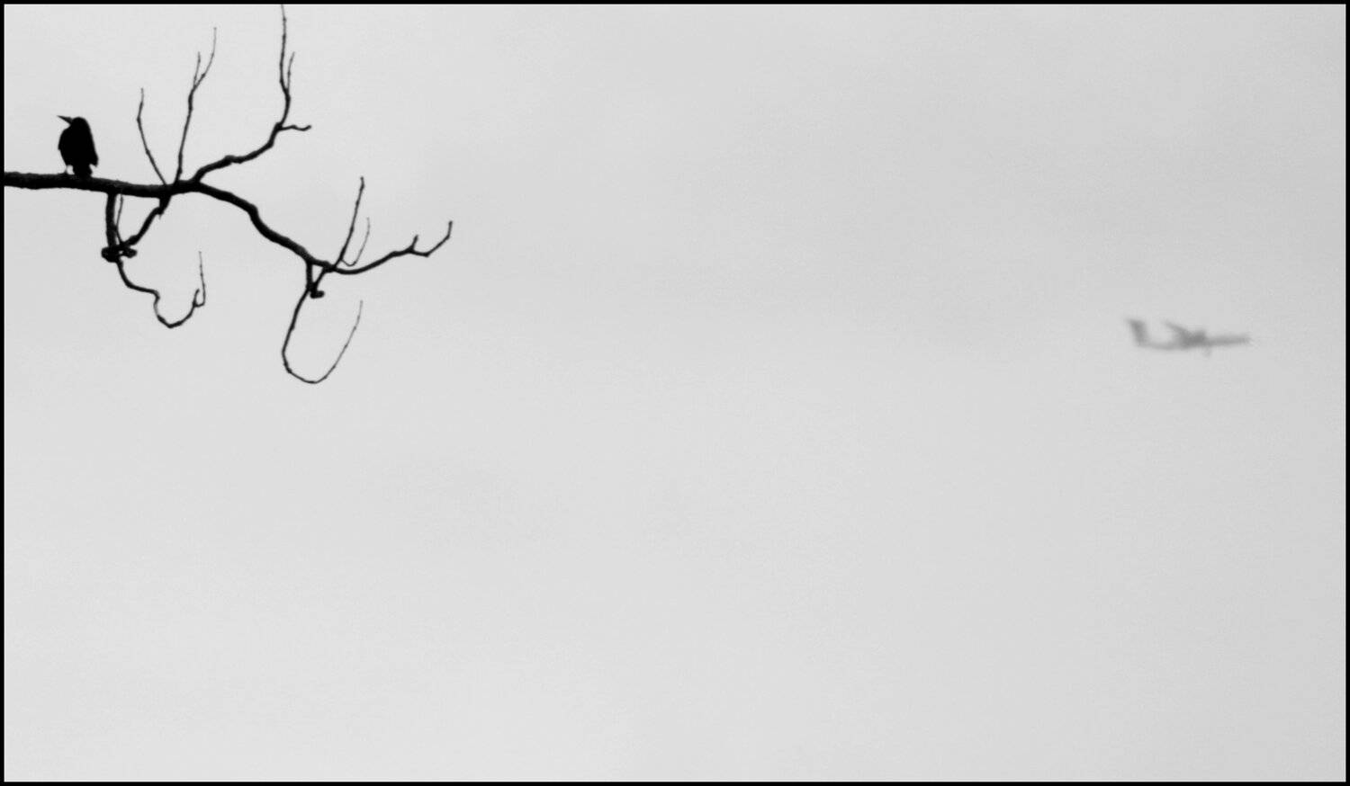 , Krzysztof Trojanowski