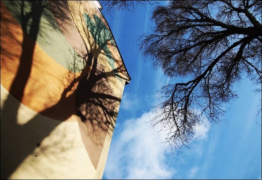 , Krzysztof Trojanowski