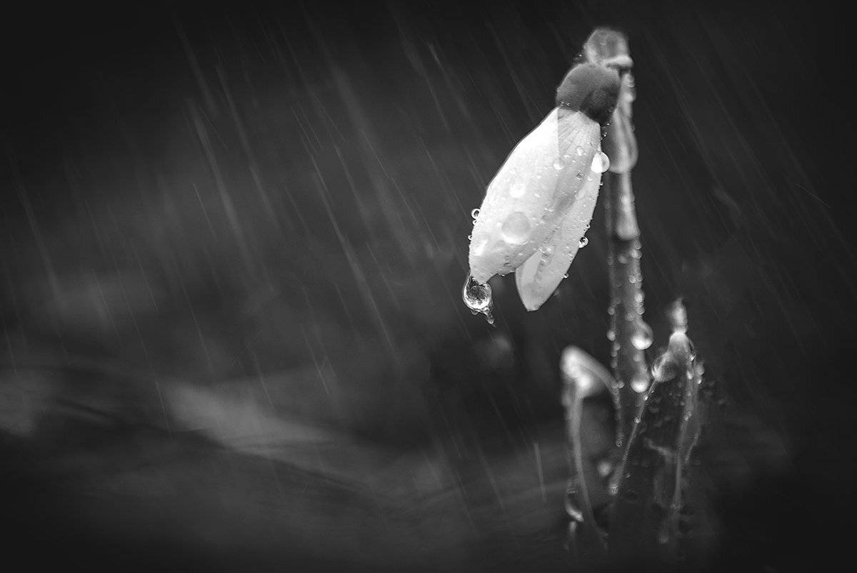 , Татьяна Аверина