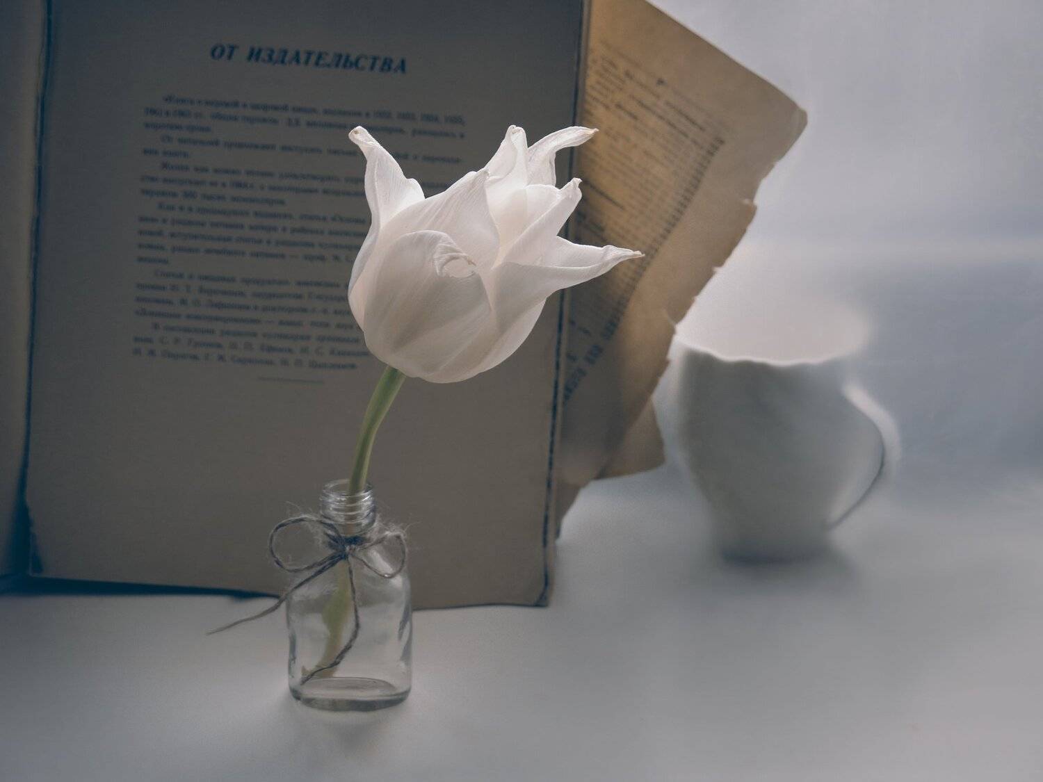 тюльпан, бутылочка, нитка, бантик, книга, страницы, чашка, подоконник, натюрморт, весна, цветок, растение, Елена Лысенко