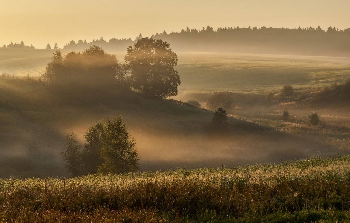 , Владимир Перепечаев
