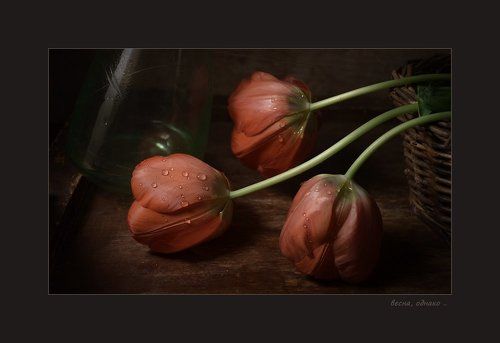 немного нежности..