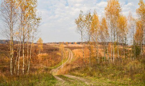 Мягкая осень