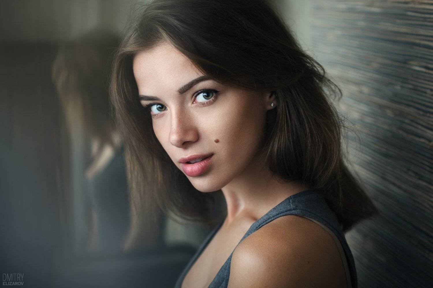 , Дмитрий Елизаров