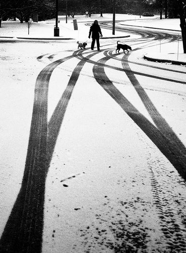 A woman who walk her dog