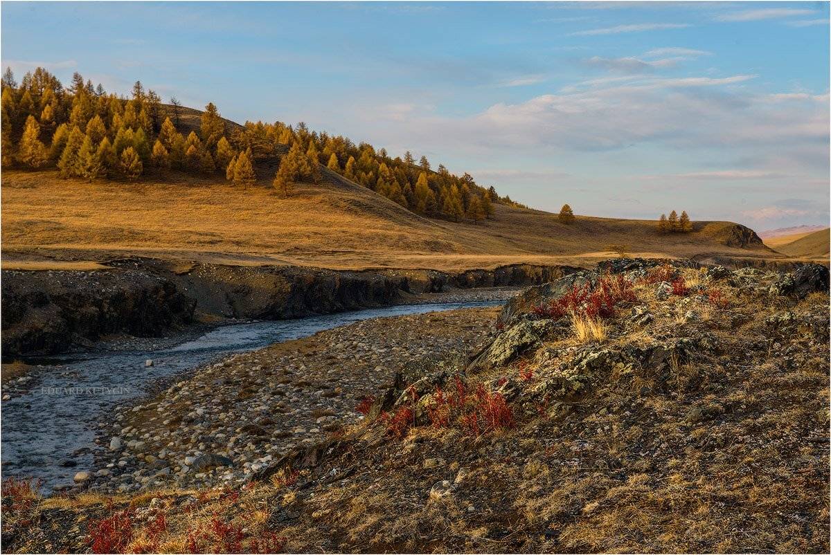 Кутыгин, Алтай, Бугузун, Карагай, Сайлюгем., Кутыгин Эдуард
