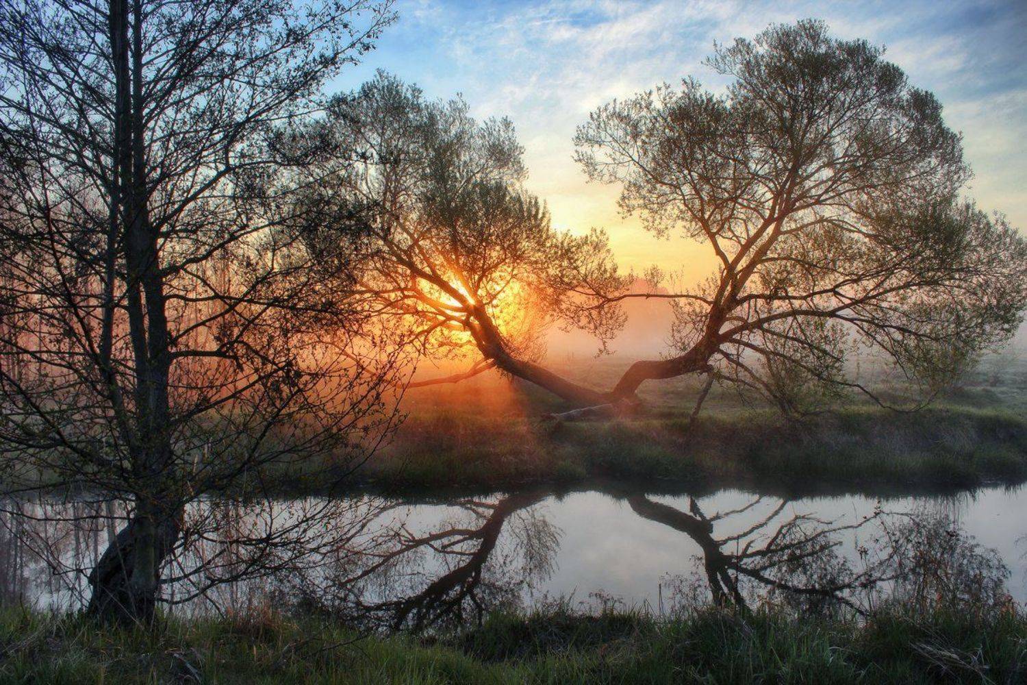 , Игорь Денисов