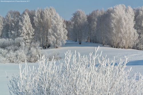 Сибирский март