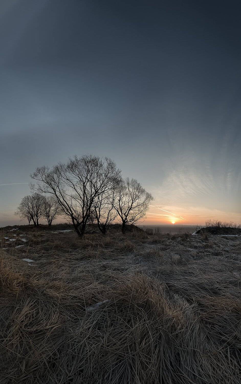, Виталий Стрельцов