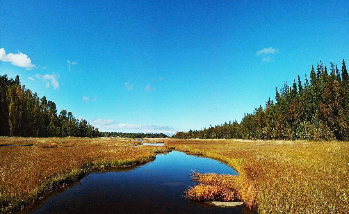 #nature #sky #sun #summer #beach #beautiful #pretty #sunset #sunrise #blue #flowers #night #tree #twilight #clouds #beauty #light #cloudporn #photooftheday #love #green #skylovers #dusk #weather #day #red #iphonesia #mothernature, Подойницин Геннадий