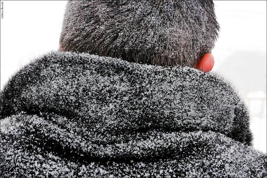 софия, зима, холодно, ухо, красное, Denis Buchel (Денис Бучель)