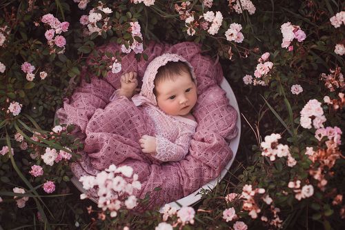 La vie en rose