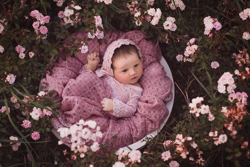 новорожденный, ребенок, малыш, newborn La vie en rose фото превью
