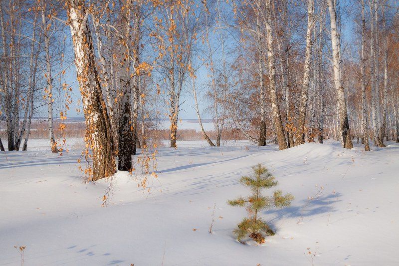 Осенне-зимний март фото превью