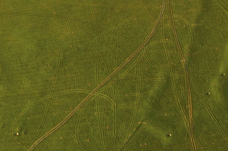 *** фото превью