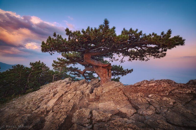 На краю фото превью