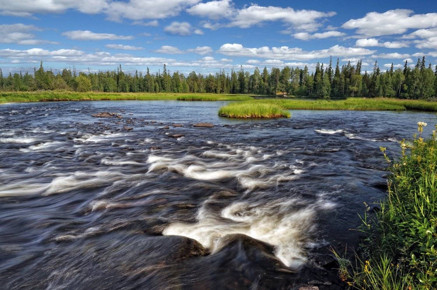 карелия, охта, река, пейзаж, d80, Лопухов Сергей