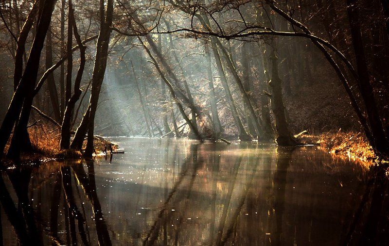 ...  фото превью