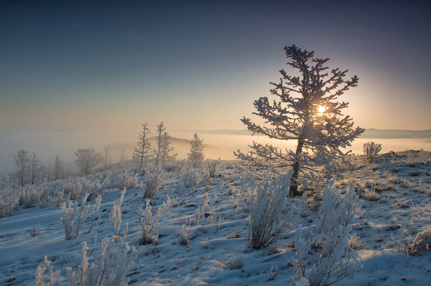 , Блинов Василий