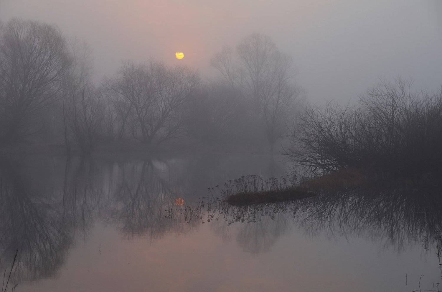 spring, belarus, sun, water, landscape, nature, morning, fog, весна, солнце, пейзаж, природа, утро, рассвет, туман, Сергей Шляга