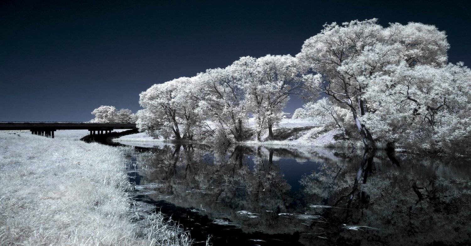 infrared,ик-фото,инфракрасное фото,инфракрасная фотография,пейзаж,природа,беларусь,лето, Sixten ( Сергей )