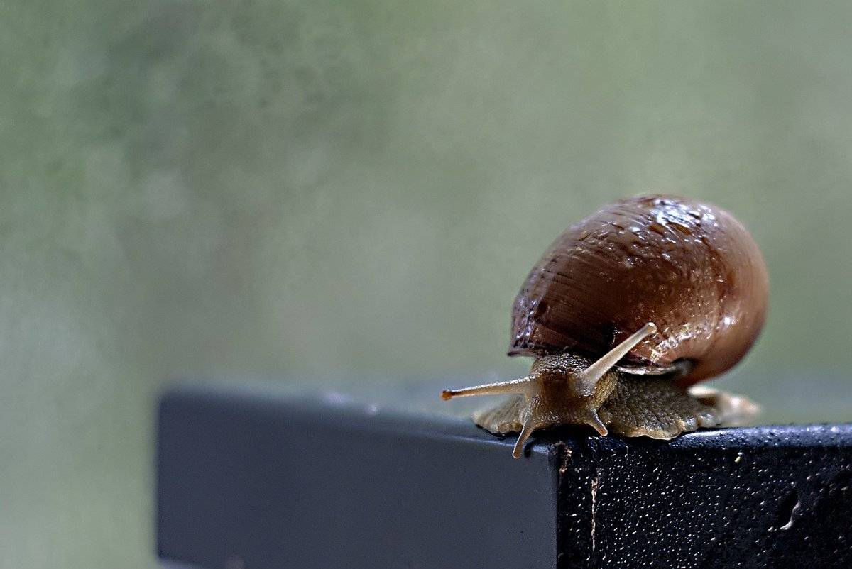 , Марина Соколова