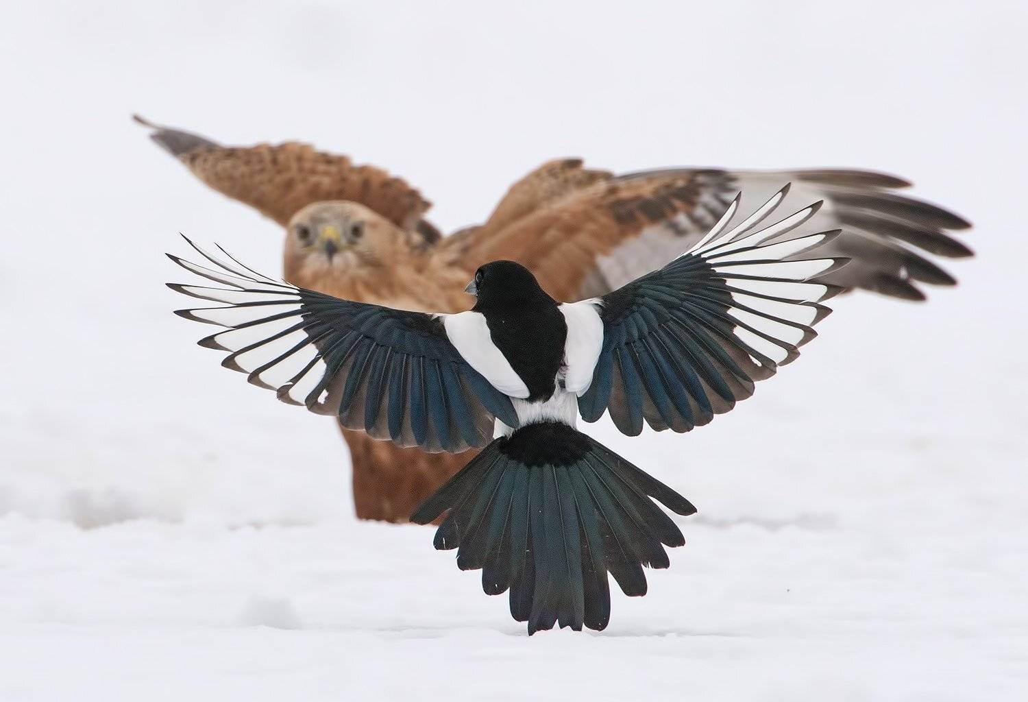 , Сергей Златков