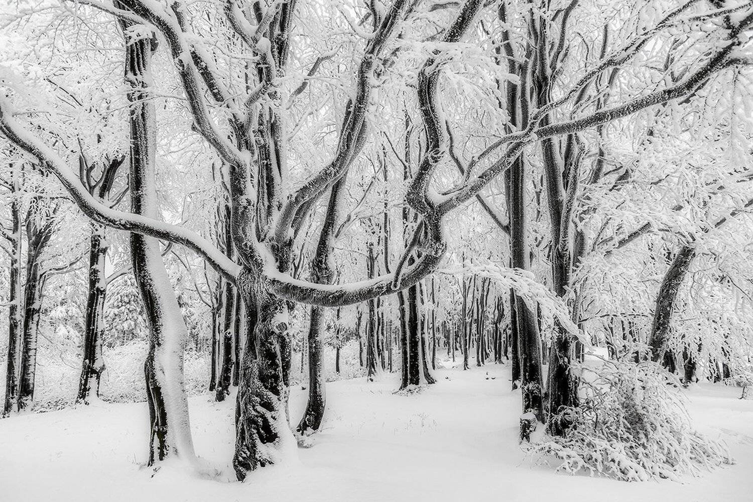 landscape,canon,winter, Iza,Darek