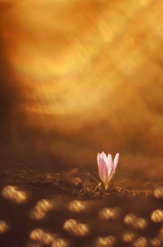 , Татьяна Аверина