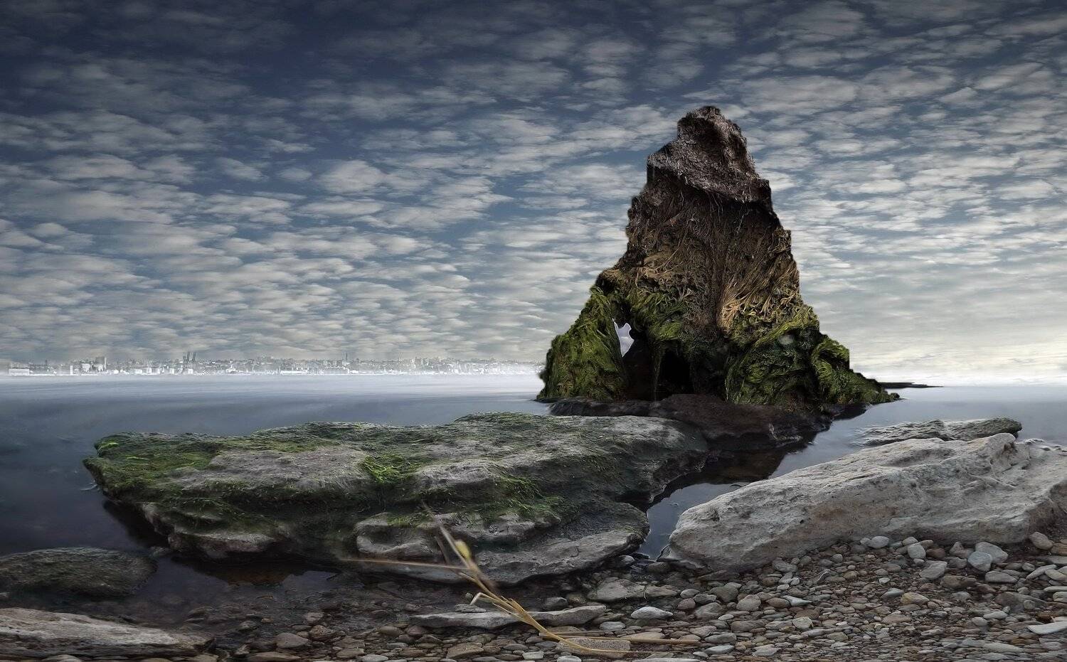 одесса, Сергей Кошелев