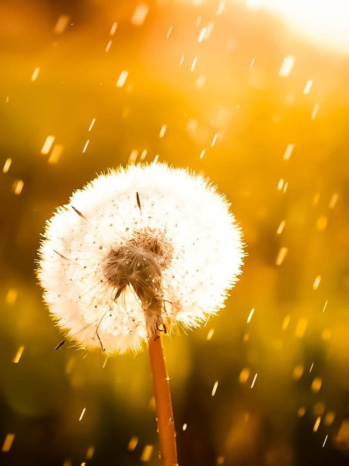 , Касянчук Валентин