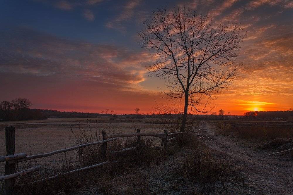 пейзаж,природа,рассвет,закат,осень,небо,солнце,свет,деревня, Taras