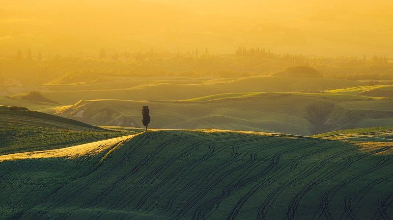 Toscana фото превью