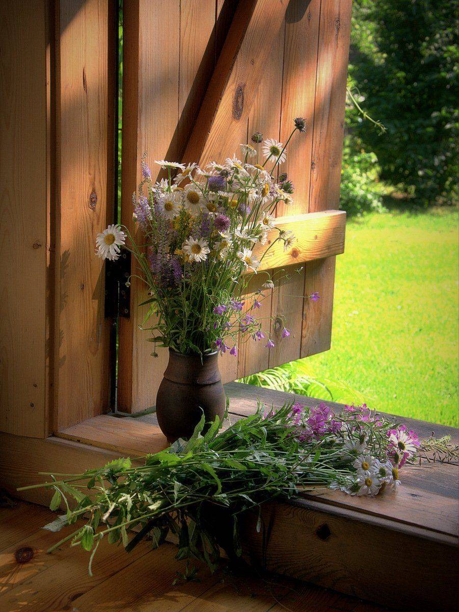 сергей алексеев, натюрморт, Сергей Алексеев