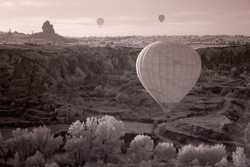 Шар, воздушный,каппадокия, турция,полёт,утро,balloon,cappadocia,merning,fly, Утро в Каппадокии. фото превью