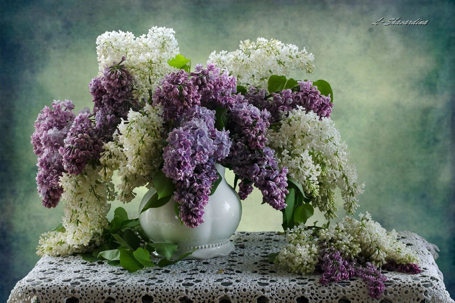 , Елизавета Шавардина