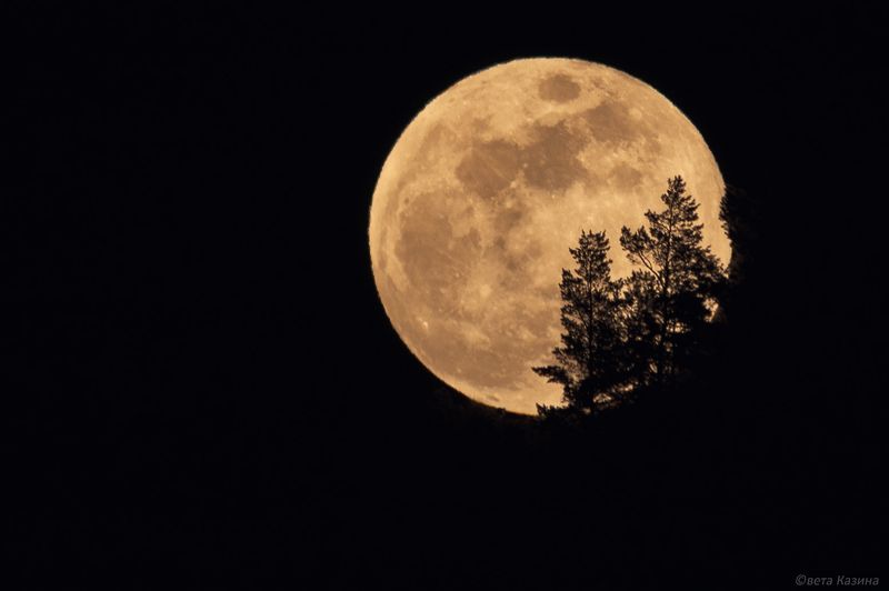 луна, полнолуние, ночь Полнолуние, март 2017. фото превью