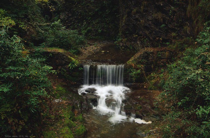 Италия, Альпы, горы,водопад, вода, лес, листва, зелень, Лесной водопадик фото превью