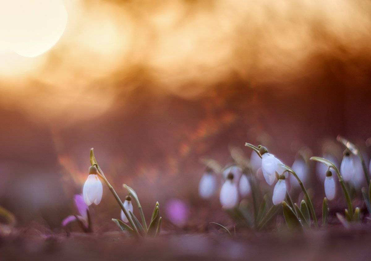 , Татьяна Аверина