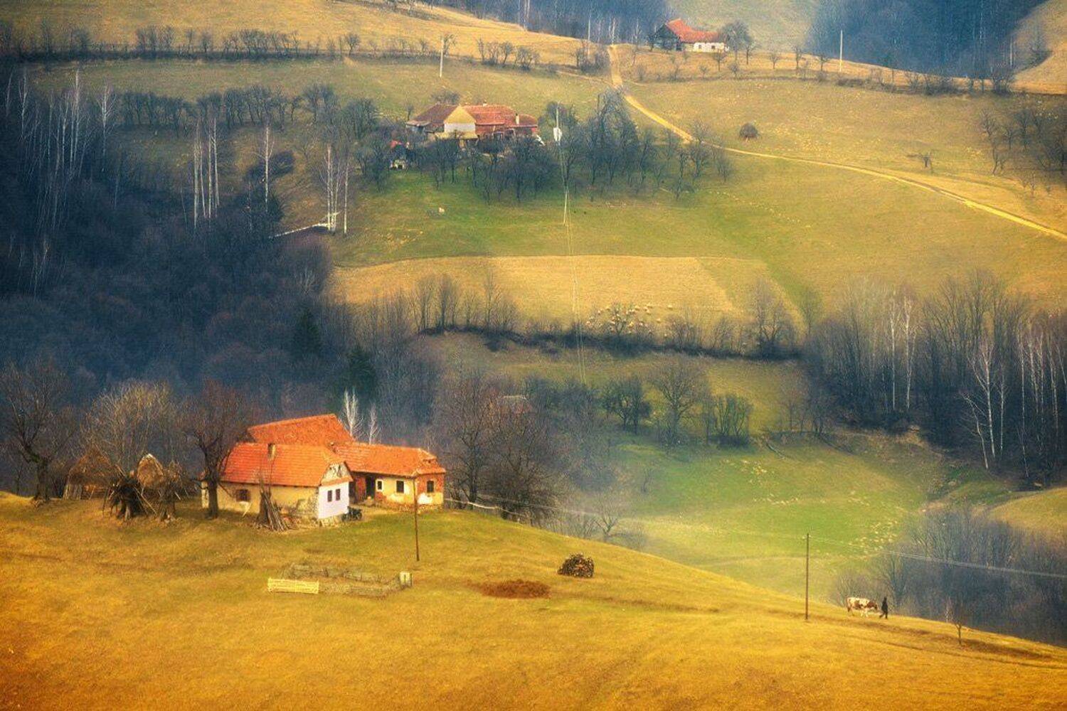 ***. Автор: Stefan Chirobocea , Stefan Chirobocea
