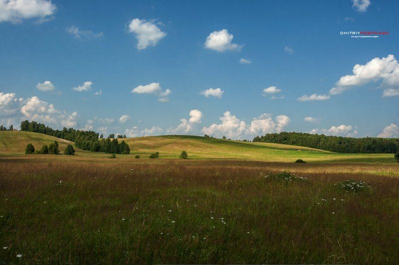 Лето, Пейзаж, Подмосковье, Поле, Природа, Россия, Сенокос Новая заставка для Windows;) фото превью